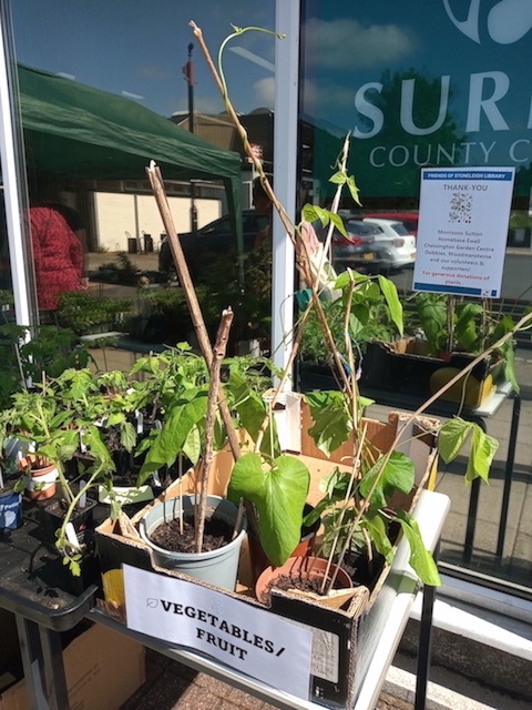 Plant Sale 14-5-2022