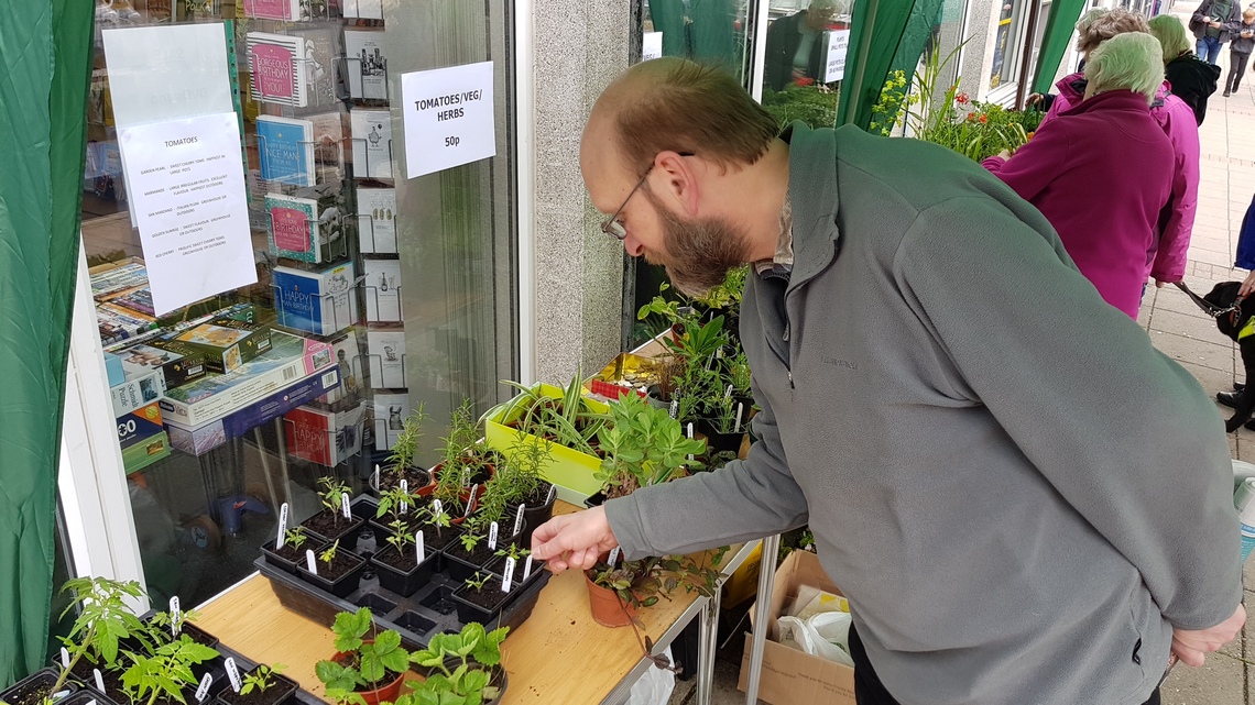 Chris looking at plants, plant sale May 2017